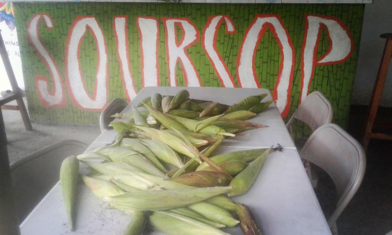 Soursop Hostel Куэта Экстерьер фото